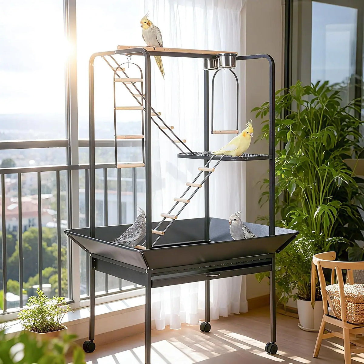 Bird Cage Play Center With Perches Ladders And Toy Hooks
