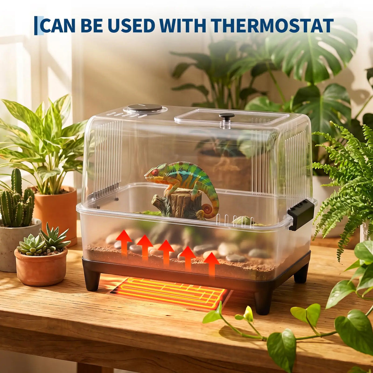 MeterMall Reptile Terrarium Starter Kit With Heating Pad And Hideout