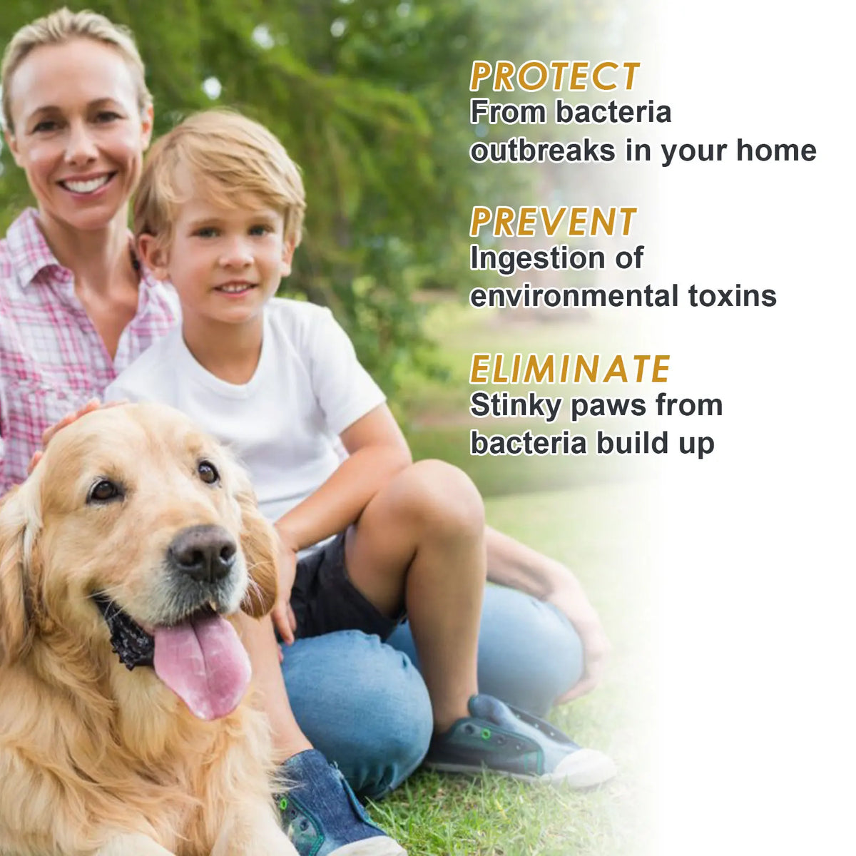 Yegbong Pet Paw Waterless Dry Shampoo Mousse No Rinse