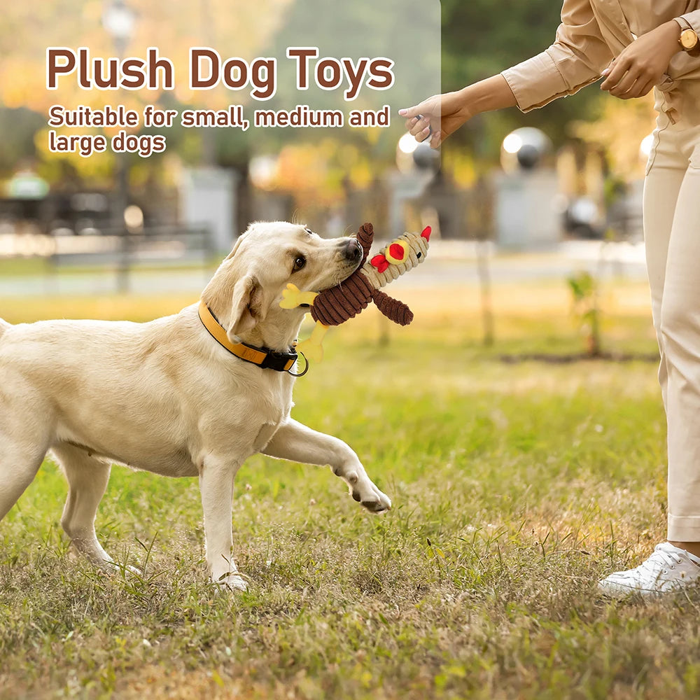Plush Squeaky Dog Toys Soft Stuffed Chew Toy Bundle