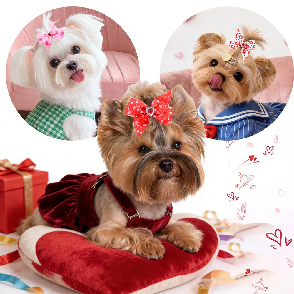 Senniea Decorative Puppy Hair Bows For Dogs And Cats