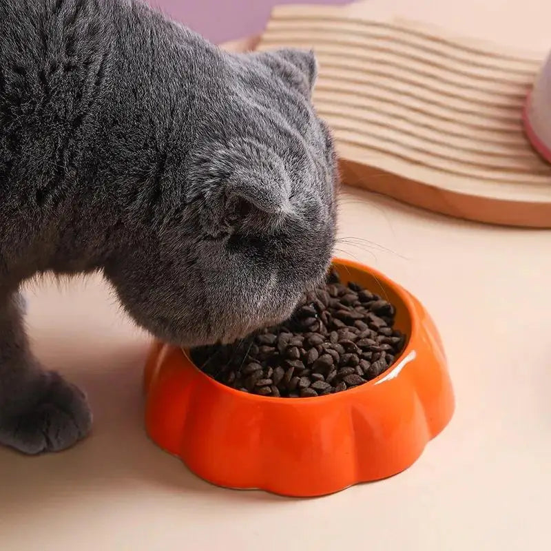 Rounded Slow Feeder Bowl For Cats And Dogs Pet Feeding