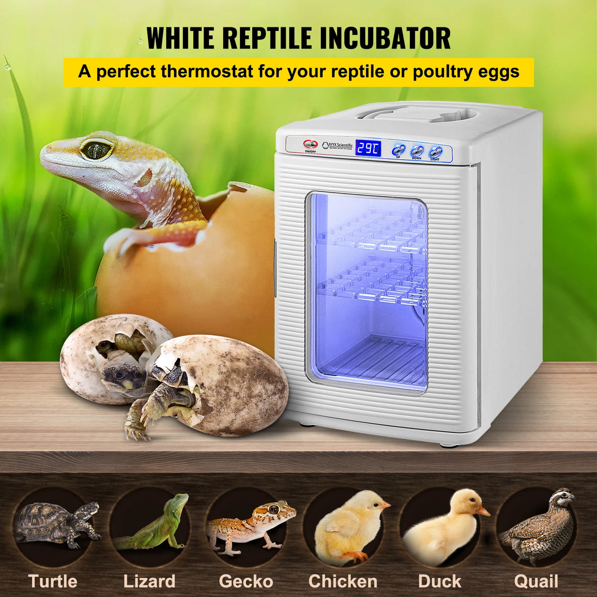 SucceBuy Automatic Reptile Egg Incubator For Laboratory Hatchery