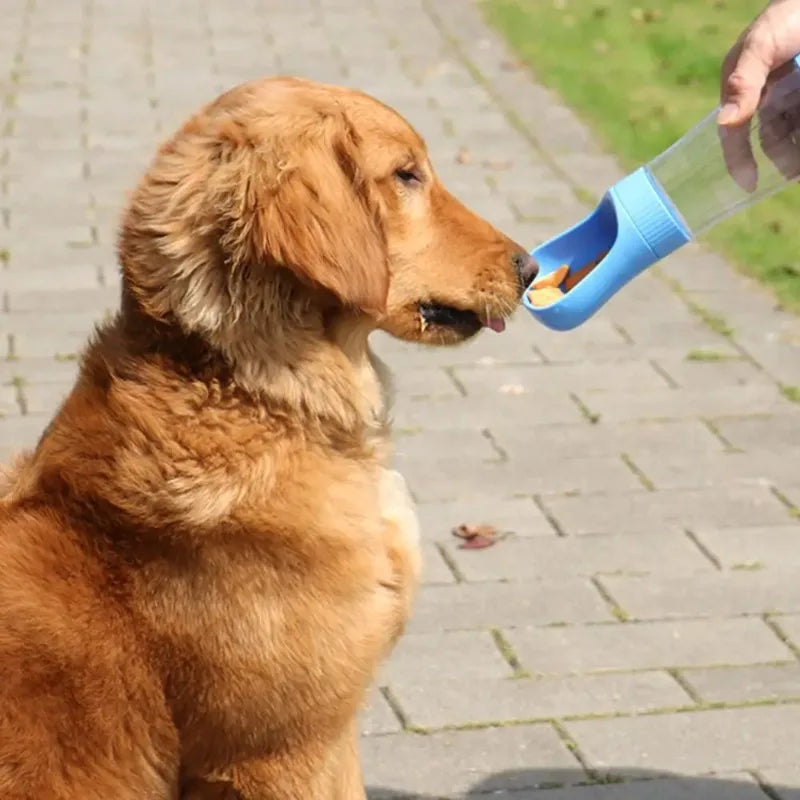 Portable Dog Water Bottle With Food Container For Travel