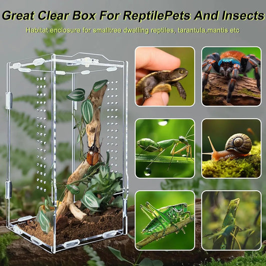 Acrylic Transparent Reptile Terrarium Habitat Enclosure for Small Animals