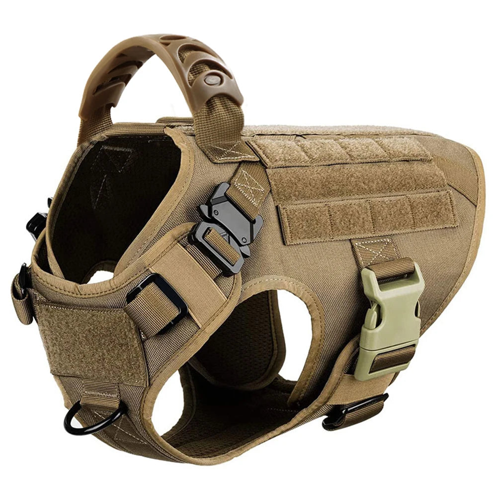 PETRAVEL Padded Dog Harness And Leash Set For Training