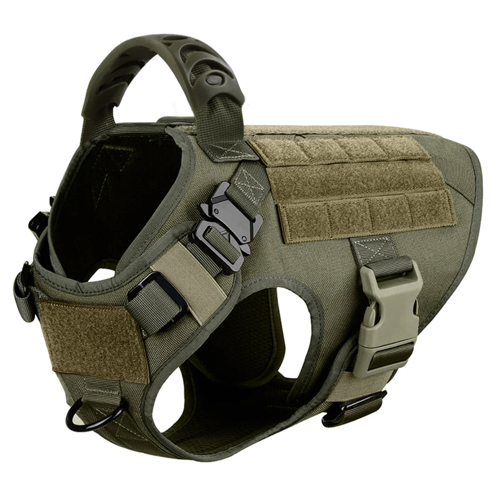 PETRAVEL Padded Dog Harness And Leash Set For Training