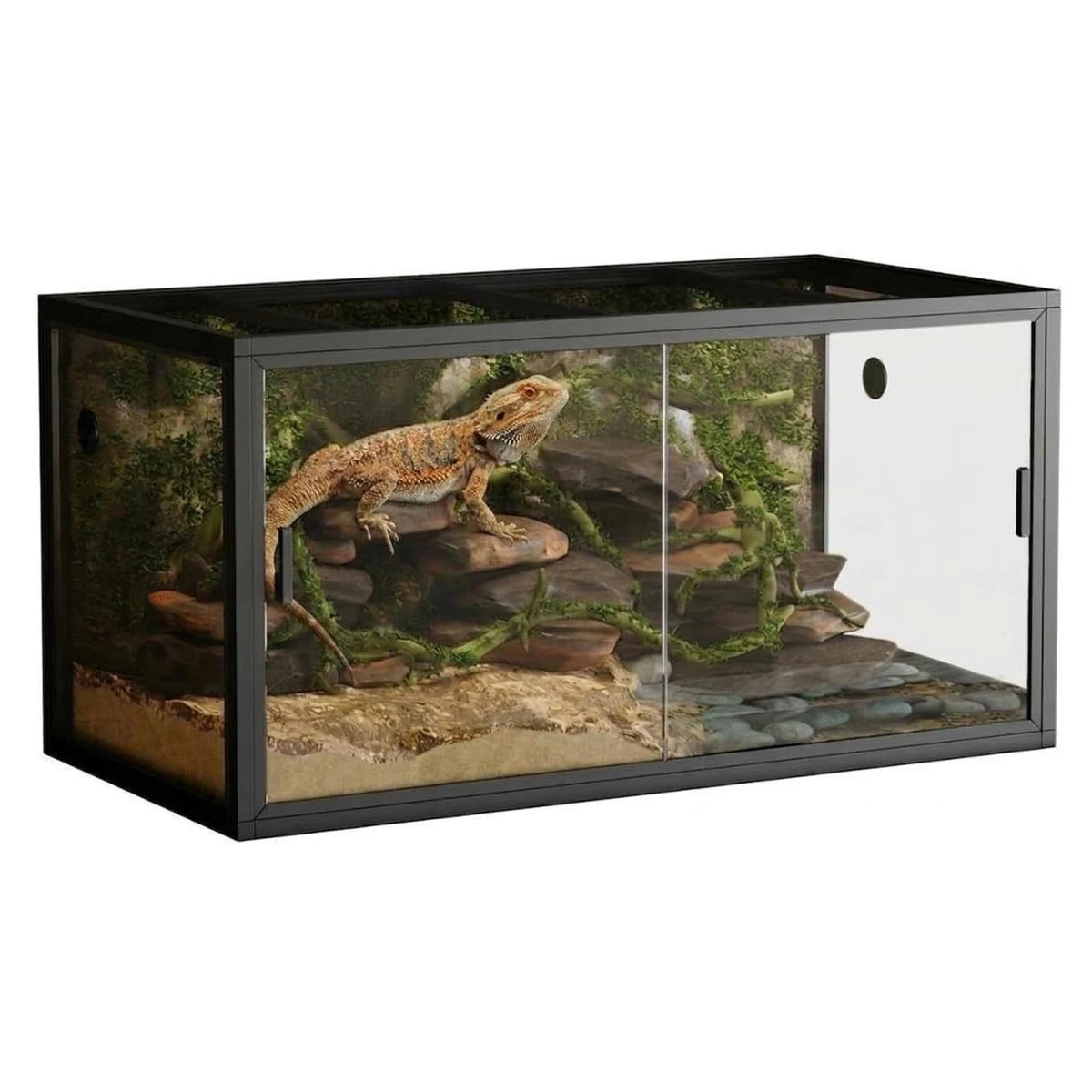HiMISS Reptile Terrarium Enclosure With Sliding Glass Doors