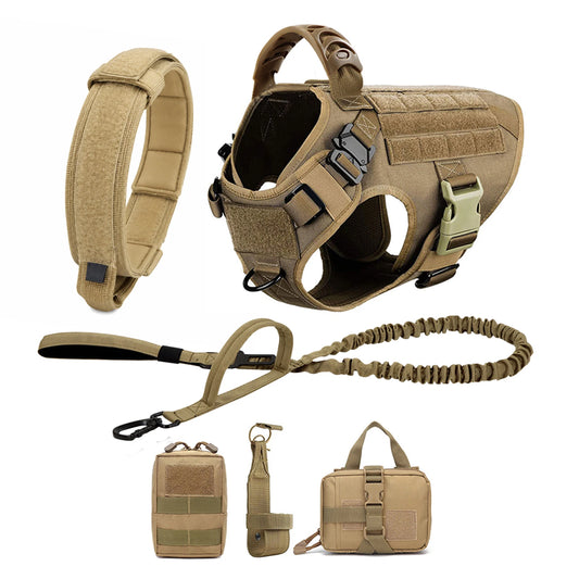 PETRAVEL Padded Dog Harness And Leash Set For Training