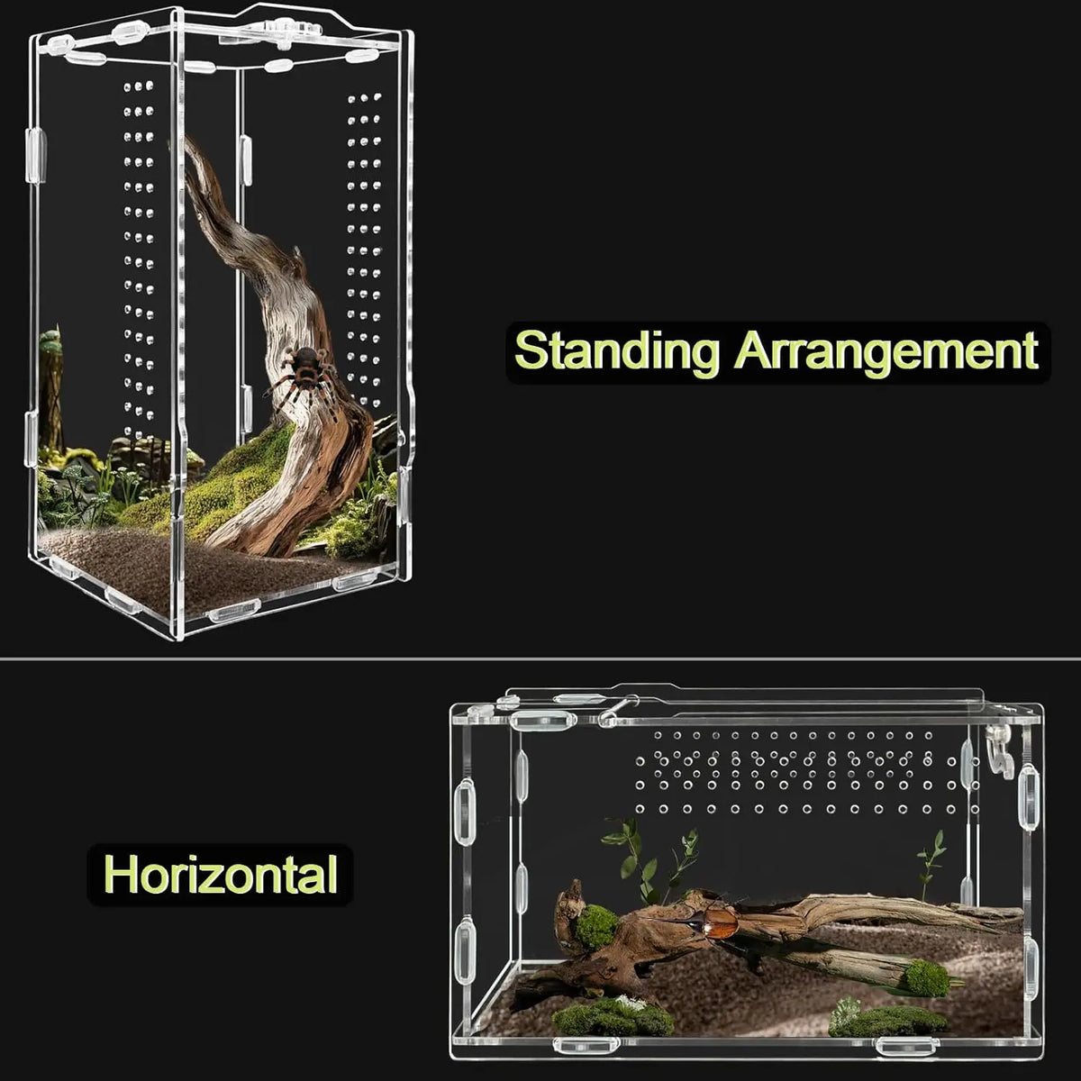 Acrylic Transparent Reptile Terrarium Habitat Enclosure for Small Animals