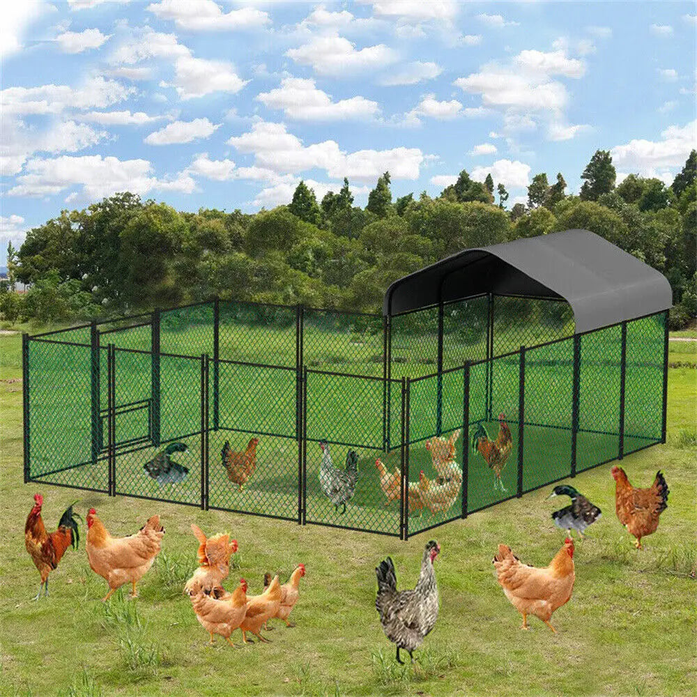 BORWART Walk In Chicken Run Coop With Waterproof Outdoor Cover