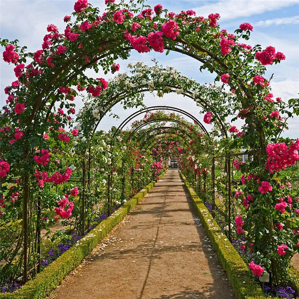 Heavy Duty Metal Garden Arch For Outdoor Climbing Plants