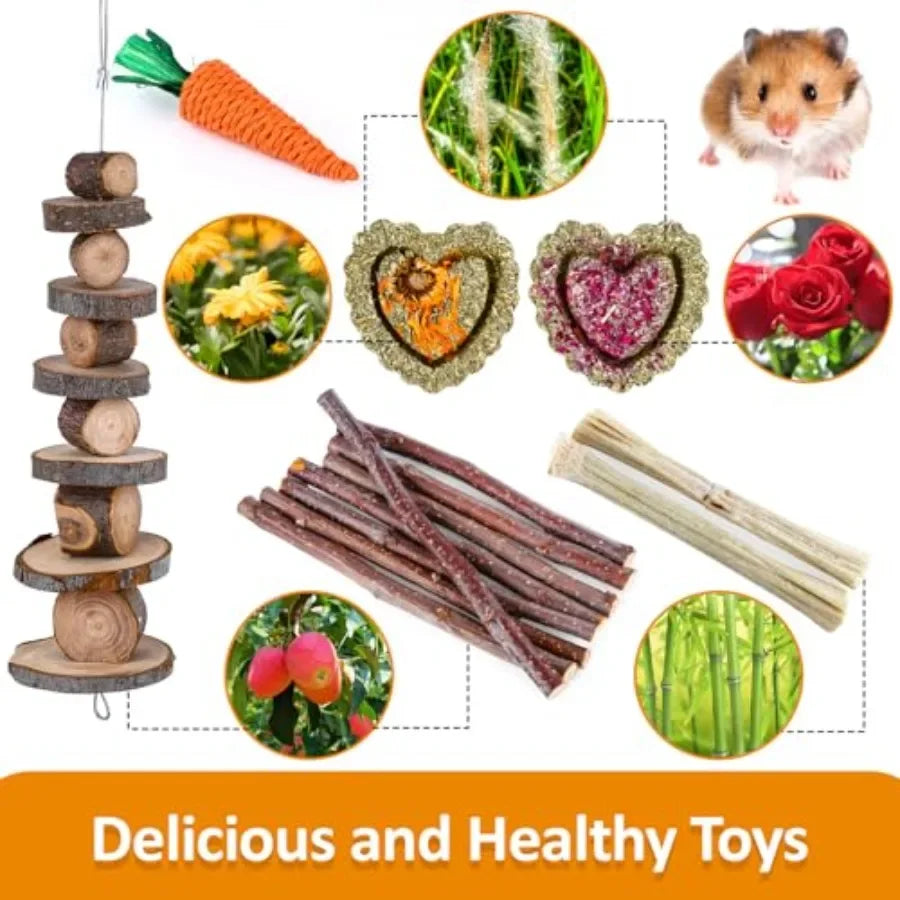 Small Animal Chew Toy Set For Hamsters Guinea Pigs Rabbits