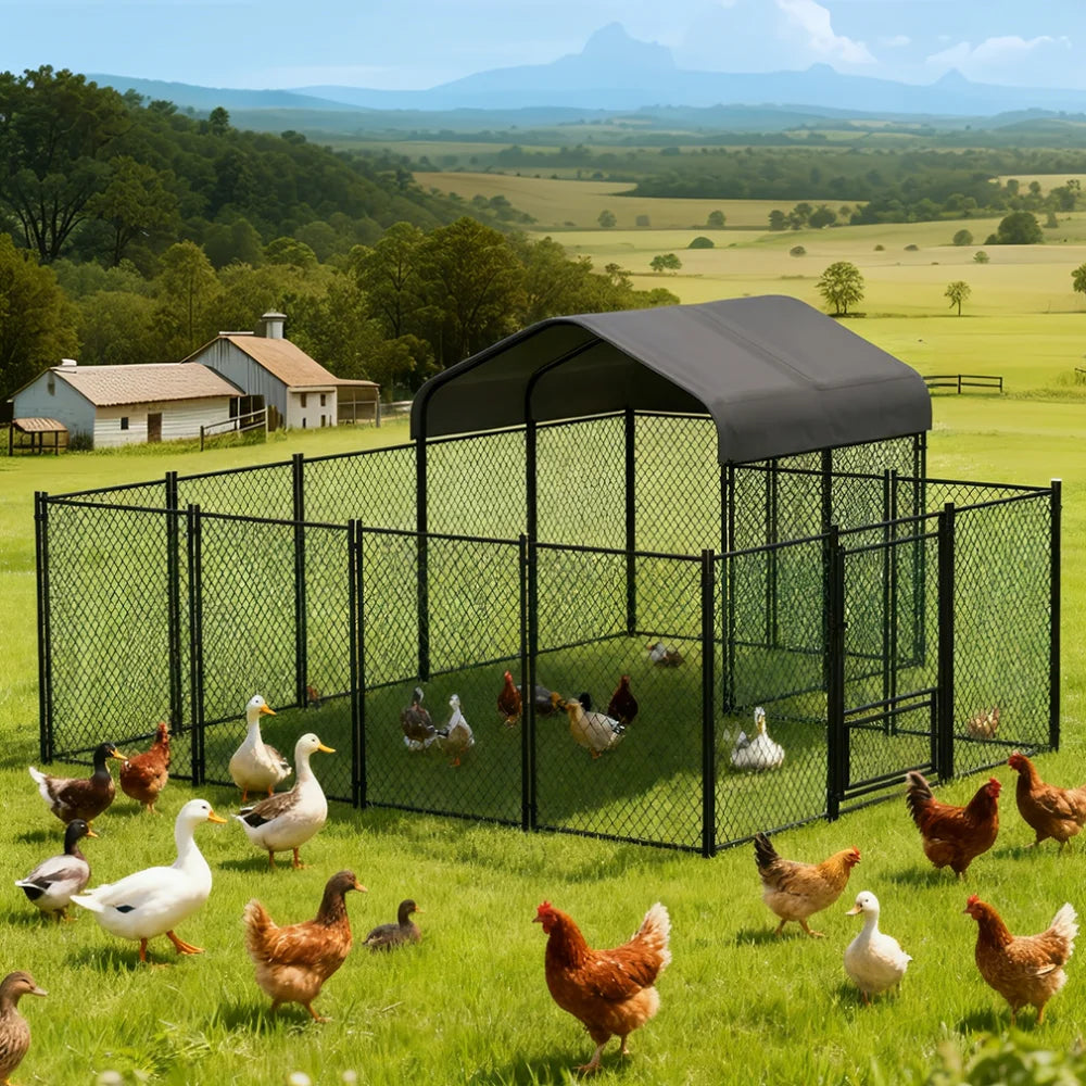 BORWART Walk In Chicken Run Coop With Waterproof Outdoor Cover