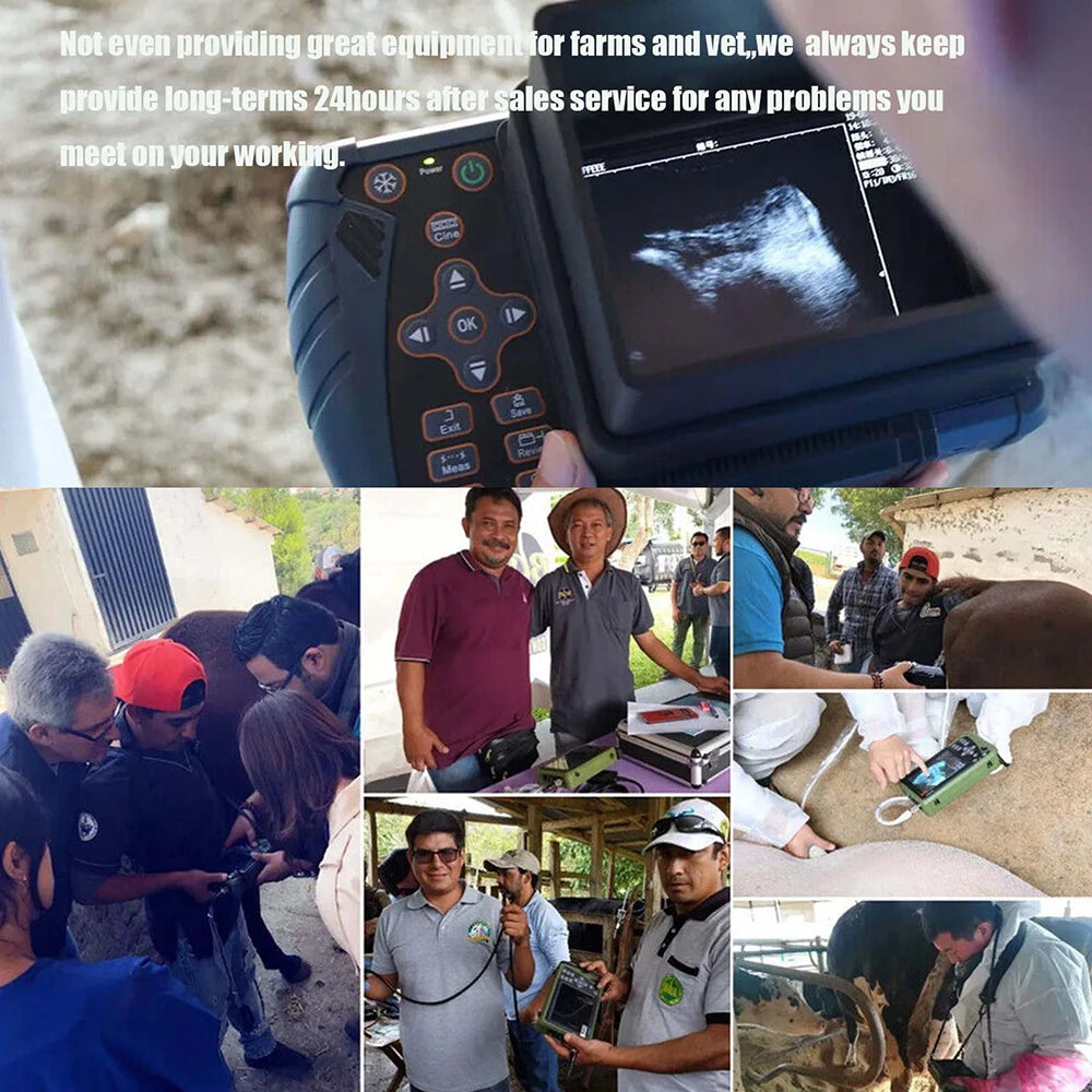 Dawei Portable Veterinary Ultrasound Scanner For Animal Pregnancy Detection