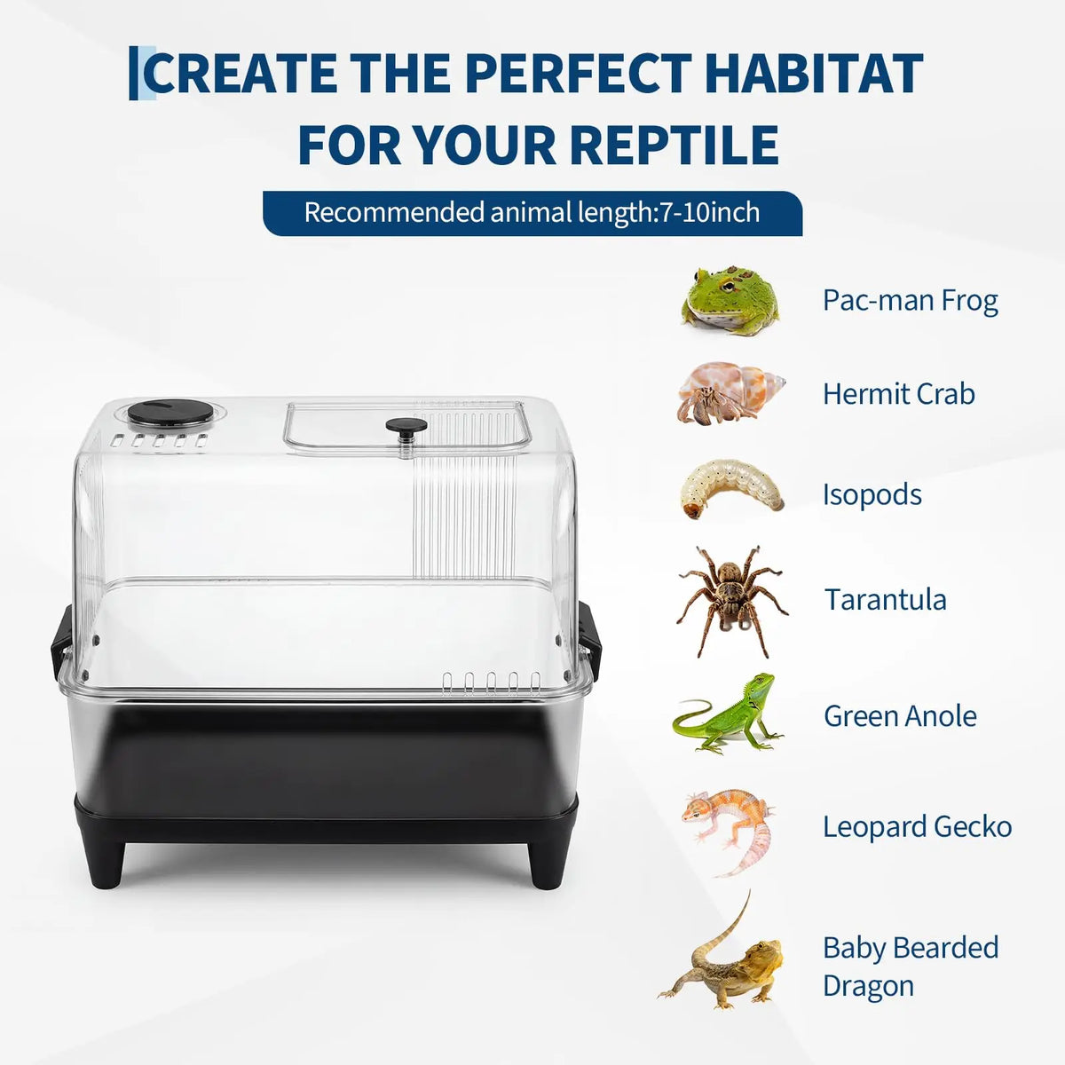 MeterMall Reptile Terrarium Starter Kit With Heating Pad And Hideout