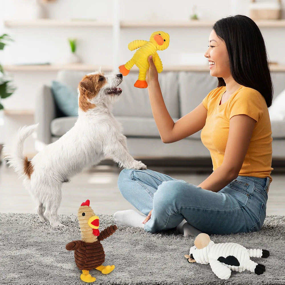 Plush Squeaky Dog Toys Soft Stuffed Chew Toy Bundle