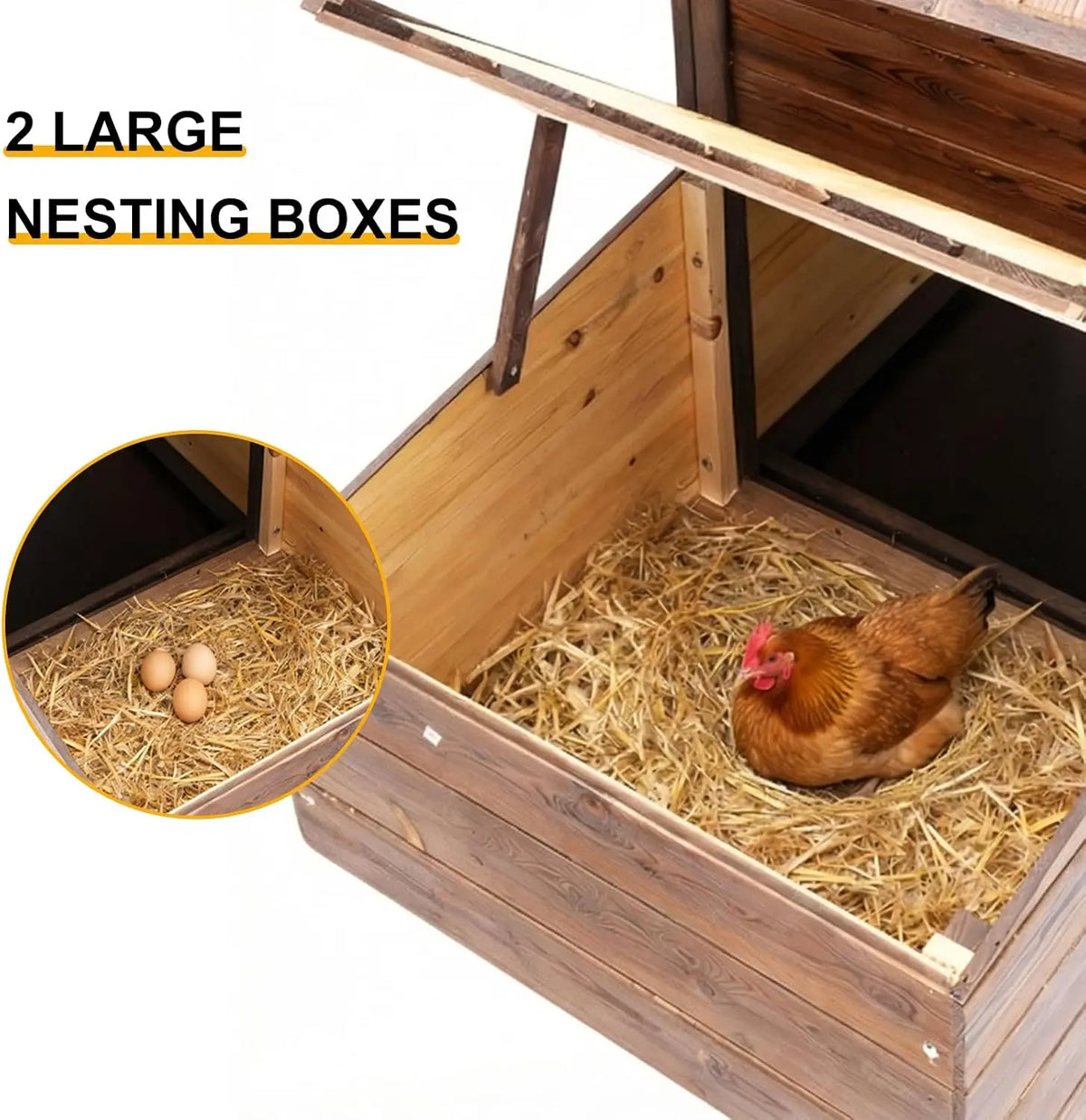 Wooden Chicken Coop With Nesting Boxes And Ventilated Window