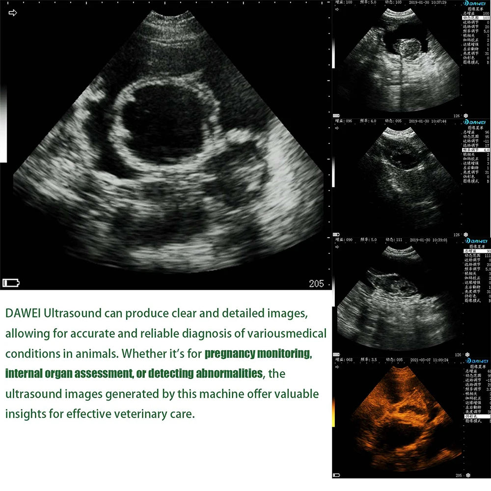 Dawei Portable Veterinary Ultrasound Scanner For Animal Pregnancy Detection