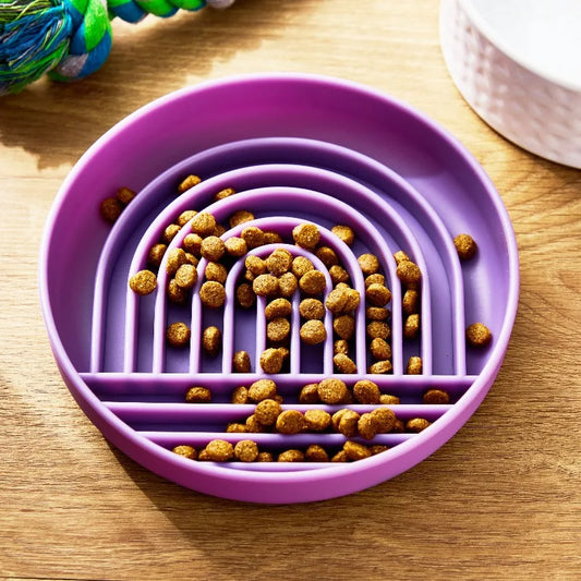 Slow Feeder Bowl for Pets Encourages Healthy Mealtime Habits